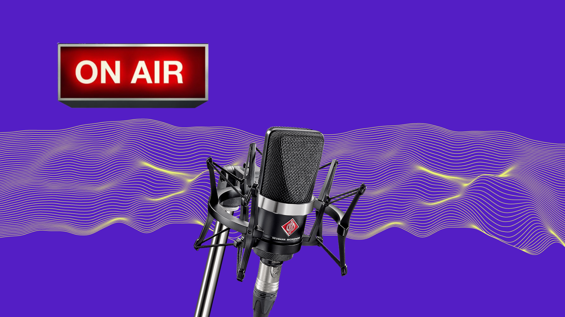 The Journey Toward ‘Crime and Prejudice’: A Radio Drama About Data Protection